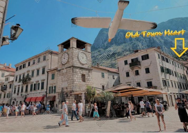 Old Town Heart Appartement Kotor Buitenkant foto